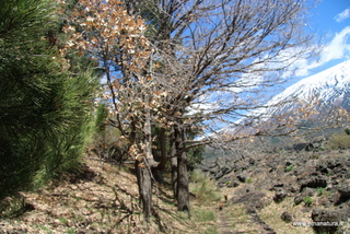 nte Egitto-29-04-2023 12-23-00